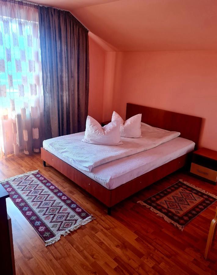 Hotel Pensiunea Sanziana à Oradea Extérieur photo