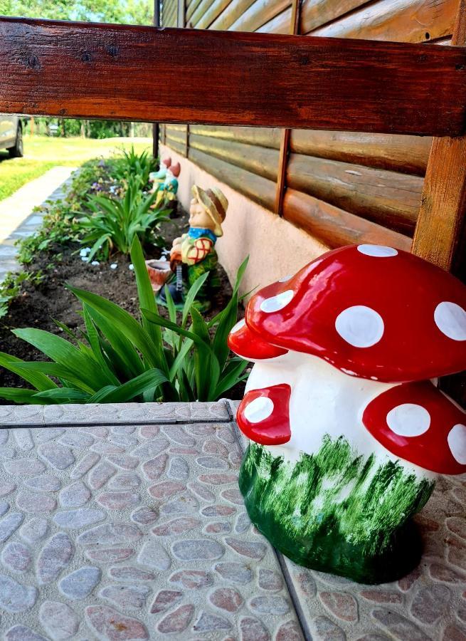 Hotel Pensiunea Sanziana à Oradea Extérieur photo